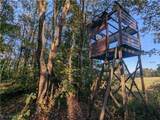  Forbes Road - Photo 38