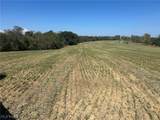  Co Rd 36 - Photo 3