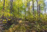  Clendening Lake Road - Photo 14