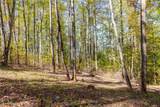  Clendening Lake Road - Photo 25