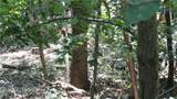 TBD Glendale Road - Photo 11