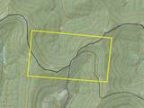  Wolfe Run Road - Photo 3