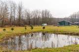 6590 Hall Road - Photo 28