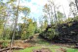 0 Cow Run Road - Photo 10