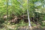 0 Cow Run Road - Photo 12