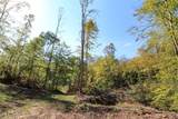 0 Cow Run Road - Photo 13