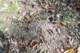0 Cow Run Road - Photo 14