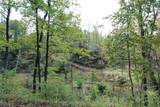 0 Cow Run Road - Photo 4