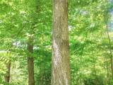 Lot 11 Moss Run Road - Photo 2