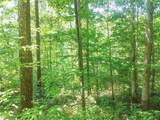 Lot 11 Moss Run Road - Photo 4