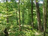 Lot 11 Moss Run Road - Photo 6