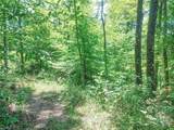 Lot 11 Moss Run Road - Photo 7