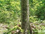 Lot 11 Moss Run Road - Photo 8