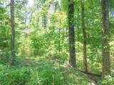 Lot 11 Moss Run Road - Photo 9