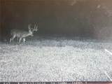7714 County Rd 14 - Photo 47