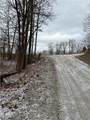 0 Sealover Hollow Road - Photo 11