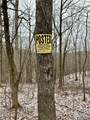 0 Sealover Hollow Road - Photo 21
