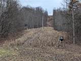  Brown Peavine Road - Photo 13