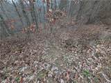  Brown Peavine Road - Photo 18