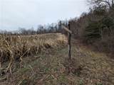  Brown Peavine Road - Photo 30