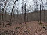  Brown Peavine Road - Photo 32