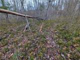  Brown Peavine Road - Photo 36