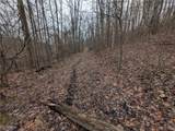  Brown Peavine Road - Photo 37