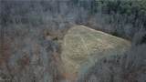  Brown Peavine Road - Photo 6