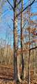  Township Rd 399 - Photo 36