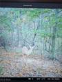 12025 Pleasant Valley Road - Photo 29