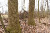 12025 Pleasant Valley Road - Photo 5