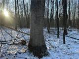  Jug Run Rd - Photo 2