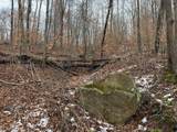  Rear Township Road - Photo 13