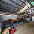 6487 Klass Road - Photo 16