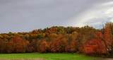  County Road 99 - Photo 5