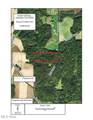 35224 Hull Road - Photo 6