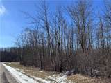 V/L 4 Painesville Warren Road - Photo 9