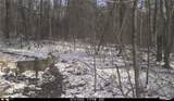 3800 Darlington Road - Photo 15