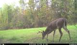 3800 Darlington Road - Photo 16