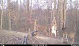 3800 Darlington Road - Photo 19