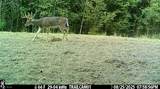 3800 Darlington Road - Photo 48