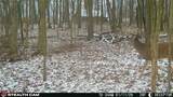 496 Township Road 2402 - Photo 20