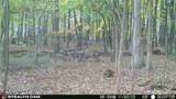 496 Township Road 2402 - Photo 22