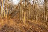 32290 Bailey Run Road - Photo 11