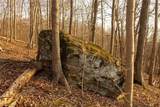 32290 Bailey Run Road - Photo 8