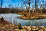 0 Fowlers Mill Road - Photo 11