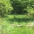 0 Fowlers Mill Road - Photo 2