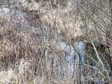 0 Johnson Bethel Road - Photo 3