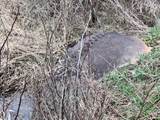 0 Johnson Bethel Road - Photo 4