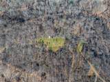  Sheepskin Ridge Road - Photo 41